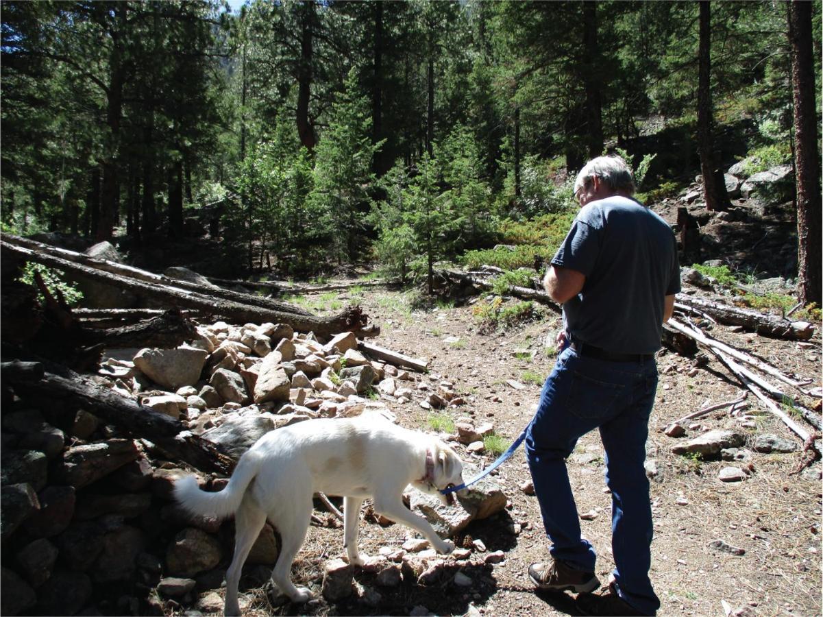 Lawson Adventure Park Βίλα Idaho Springs Εξωτερικό φωτογραφία